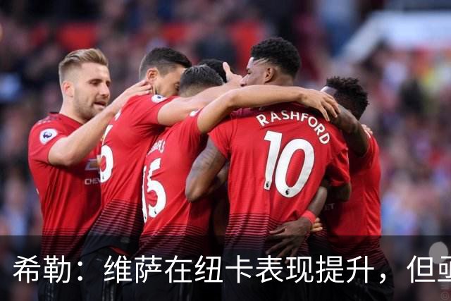 希勒：维萨在纽卡表现提升，但亟需打入更多进球